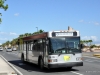 Gillig Phantom 09-115