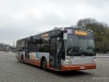 Van Hool A300 8175