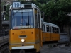 Ganz CSMG 1331
