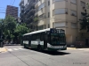 Los Constituyentes S.A.T. (D.O.T.A.) 444