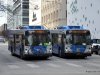 New Flyer D35LFR 2412 & New Flyer D35LFR 2354