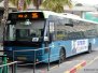 Central & Southern District Egged Taavura Buses