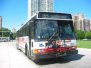 CTA Buses