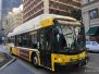 DART Buses