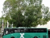 Mercedes-Benz OC500 52563