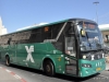 Golden Dragon C 76489