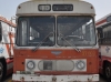 Leyland