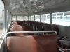 Shashon intercity bus