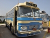 Leyland RT intercity bus