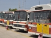 Egged Museum Bus Display