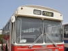 Leyland intercity bus