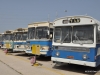 Egged Museum Bus Display