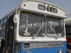 Leyland Royal Tiger intracity bus