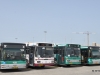 MAN NL-313 (two unidentified), MAN NL-313 41269, Mercedes-Benz O 405 58511, Mercedes-Benz O 405 44230