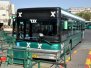 Eilat Egged Buses