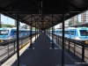 Station: Tigre