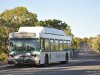 New Flyer C40LF C-10