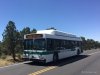 New Flyer C40LF C-8
