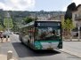 Haifa Egged MAN NL-313 Buses