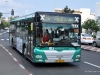 MAN NL-313 18481