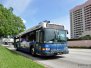 Hillsborough Area Regional Transit (HART) Buses