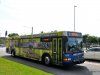 Gillig Advantage 1312