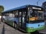 Istanbul Buses