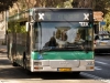 MAN NL-313