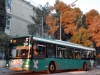 MAN NL-313 47662
