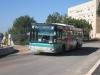 MAN NL-313 12187