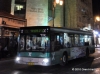 MAN NL-313
