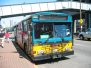 King County Metro Buses