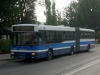 Jelcz M181MB 439