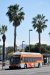 ElDorado Axess BRT 40' 1663