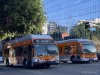 ElDorado Axess BRT 40' 1822 and NABI 60-BRT CNG