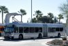 New Flyer XE60 19516