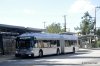 New Flyer XE60 19534