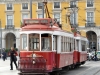 Tourist Tram