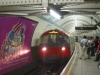 LU 1973 Stock