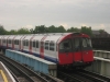 LU 1973 Stock 123