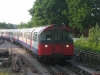 LU 1973 Stock 228