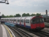 LU 1973 Stock
