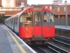 LU 1973 Stock
