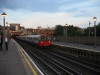 LU 1973 Stock