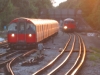 LU 1973 Stock