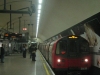 LU 1995 Stock 51619