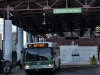 Gillig Advantage 447