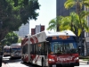 New Flyer XN60 1110