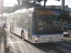 MAN 3619