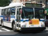 New Flyer D60HF 5549